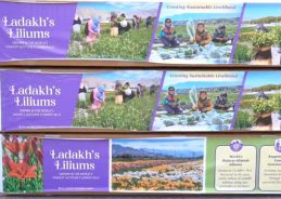 Ladakh LG flags off first commercial air cargo consignment of Lilium flowers