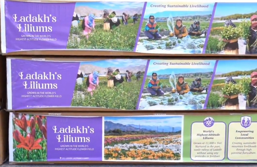 Ladakh LG flags off first commercial air cargo consignment of Lilium flowers