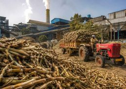 Maharashtra govt to introduce soft loan scheme for sugar mills Maharashtra govt to introduce soft loan scheme for sugar mills