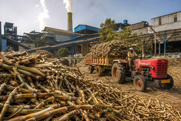Maharashtra govt to introduce soft loan scheme for sugar mills
