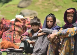 J&K issues over 5.73 lakh ST-II certificates to eligible Pahari ethnic groups J&K issues over 5.73 lakh ST-II certificates to eligible Pahari ethnic groups