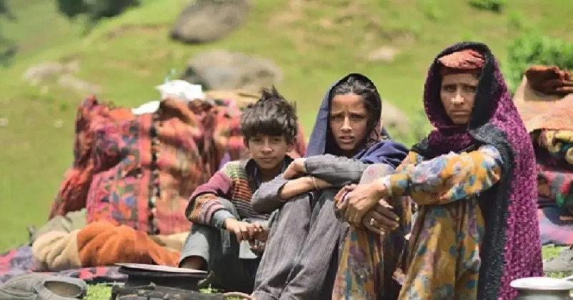 J&K issues over 5.73 lakh ST-II certificates to eligible Pahari ethnic groups