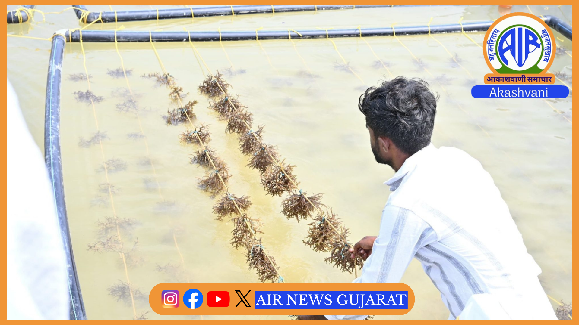 ગુજરાતે “મિષ્ટી” યોજના અંતર્ગત કચ્છમાં 27 હજાર હૅક્ટરમાં મેનગ્રોવ રોપાઓ વાવીને મહત્વની સિદ્ધિ હાંસલ કરી – કેન્દ્રીય વન અને પર્યાવરણ મંત્રી ભૂપેન્દ્ર યાદવની જાહેરાત