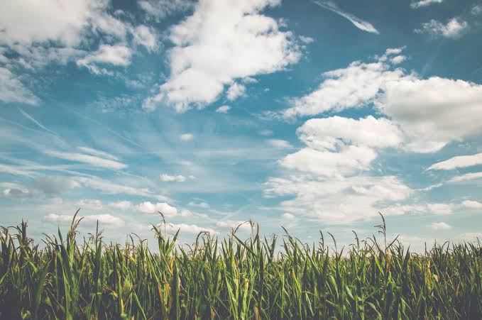 NGT Chairperson Justice Prakash Shrivastava calls clean air a fundamental need