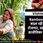 Vishleshan : Bamboo (बांस) से बदल रही जिंदगी ! रोजगार, उद्यम और नई आजीविका की कहानी