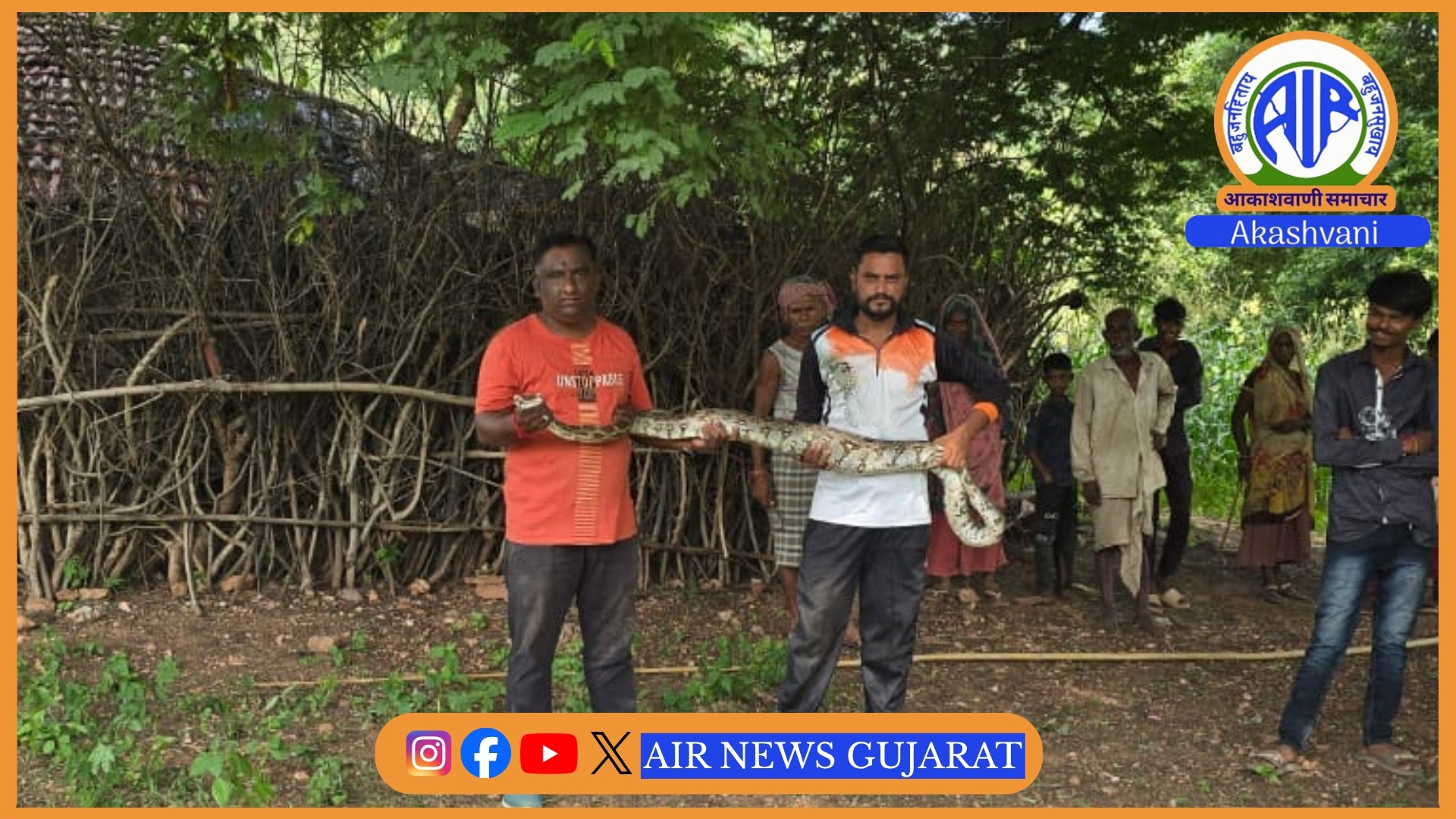 મહીસાગર: સંતરામપુરના ખેડાપા ગામમાં ખેડૂતના ઘર પાસેથી વિશાળ અજગરનું સફળ રેસ્ક્યુ