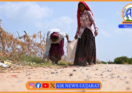 નળસરોવરમાં કચરામાંથી કમાણી: JICA ના સહયોગથી નવતર પહેલ
