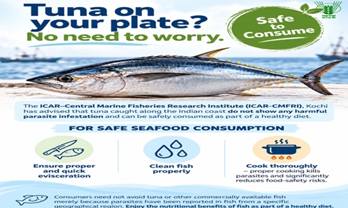 Tuna along Indian coast safe to consume: CMFRI