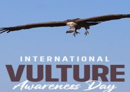 International Vulture Awareness Day: Environment Minister emphasises need to protect vultures to secure the ecological future