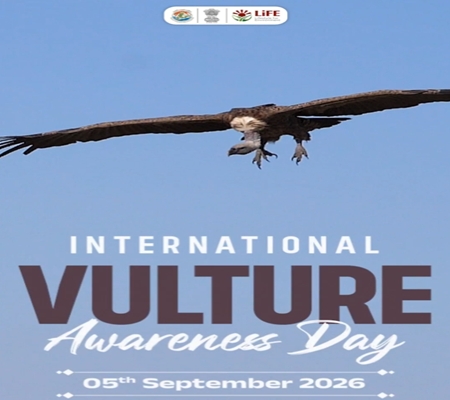 International Vulture Awareness Day: Environment Minister emphasises need to protect vultures to secure the ecological future