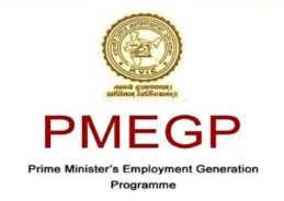 PMEGP generates over 22,560 employment opportunities in J&K in 2024-25 PMEGP generates over 22,560 employment opportunities in J&K in 2024-25