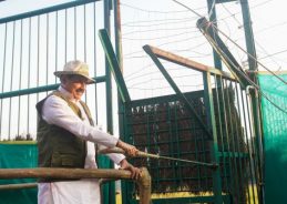 MP begins wild buffalo reintroduction in Kanha after nearly a century; CM Mohan Yadav releases eight buffaloes