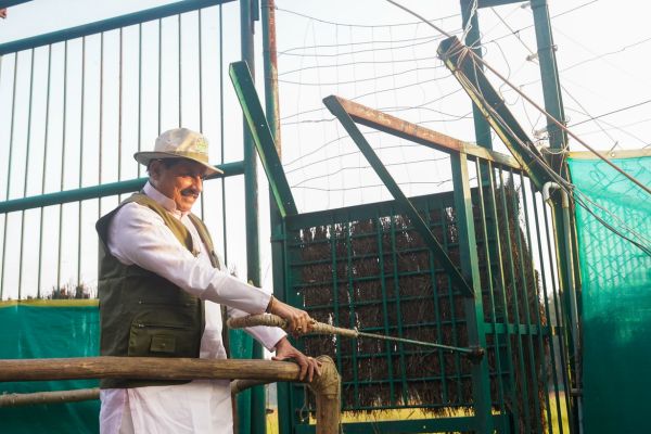 MP begins wild buffalo reintroduction in Kanha after nearly a century; CM Mohan Yadav releases eight buffaloes