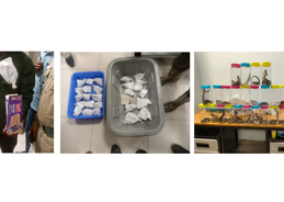DRI foils smuggling of 45 live reptiles at Trichy Airport DRI foils smuggling of 45 live reptiles at Trichy Airport