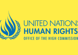 India calls OHCHR’s concerns over Delhi events misplaced, says they amount to interference in internal affairs
