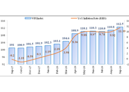 Wholesale Price Index inflation rises to 11.39% in September this year
