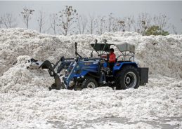 Government extends customs duty exemption on cotton imports till December 31 Government extends customs duty exemption on cotton imports till December 31