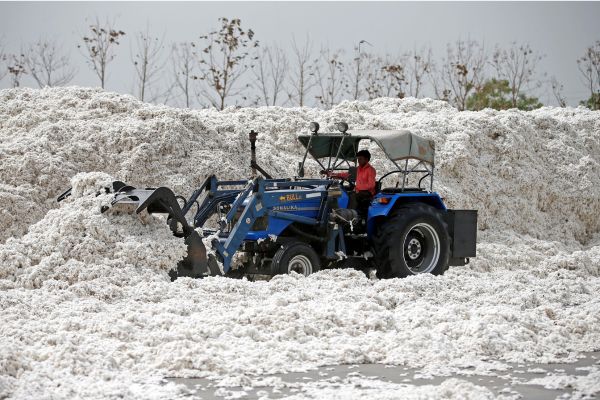 Government extends customs duty exemption on cotton imports till December 31