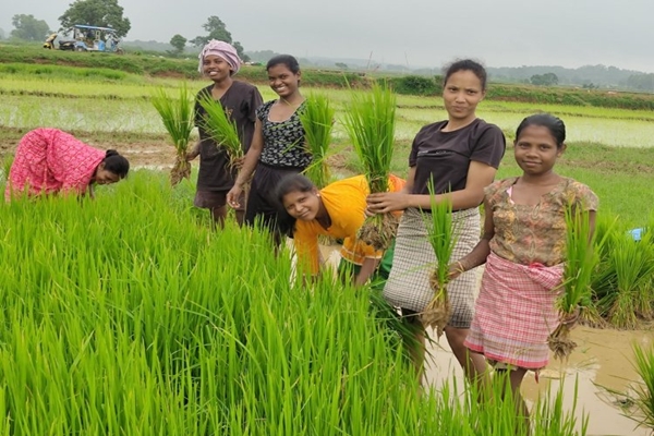 Women-led FPOs show stronger survival after incorporation, says NABARD report