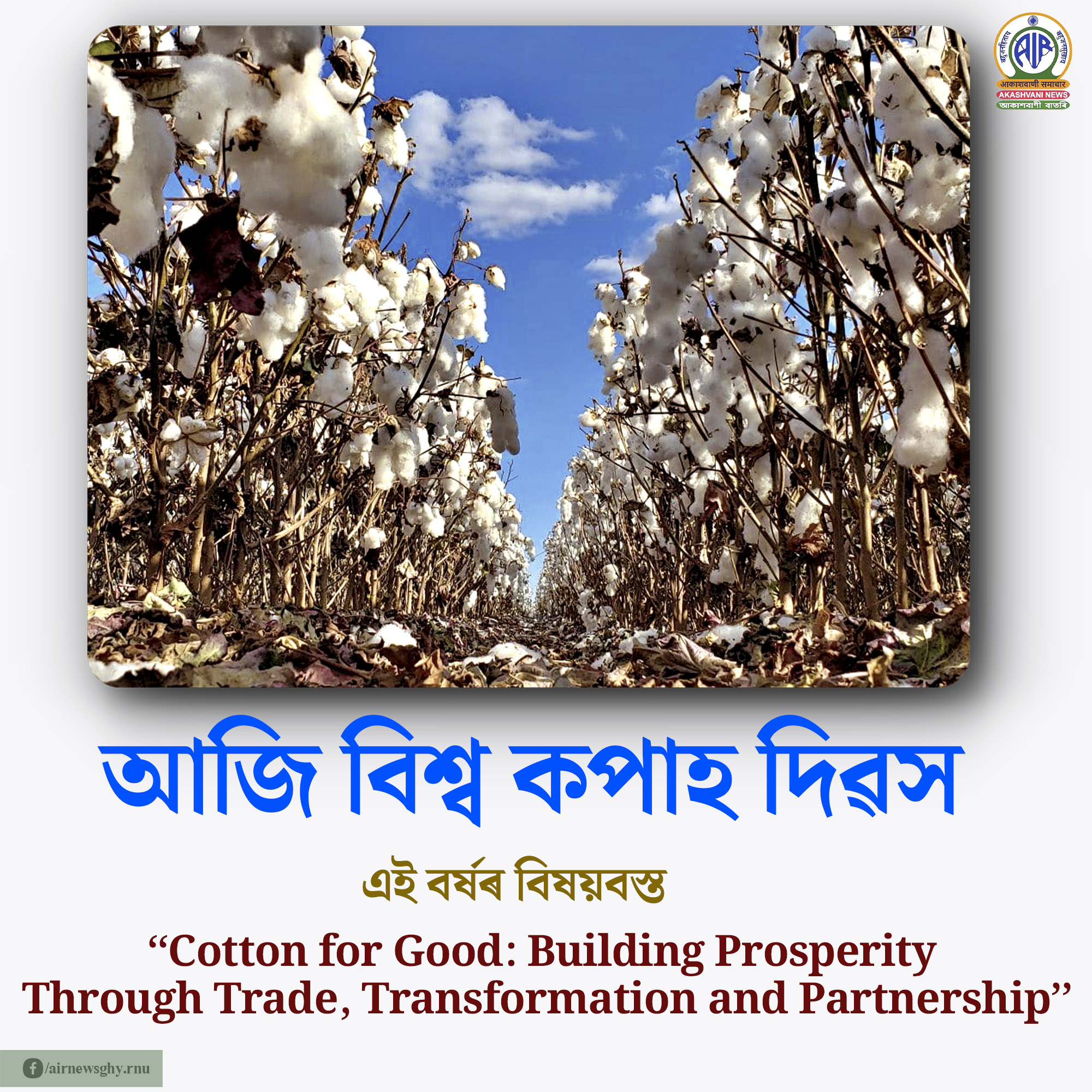 আজি বিশ্ব কপাহ দিৱস