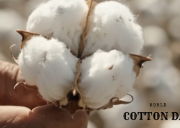 World Cotton Day 2026