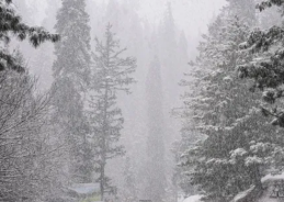 Jammu and Kashmir likely to receive light rain and snowfall in higher reaches from today