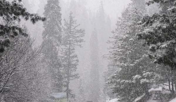 Jammu and Kashmir likely to receive light rain and snowfall in higher reaches from today
