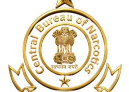 CBN Jaipur seizes over 1 kg of hydroponic weed concealed in Thailand parcel CBN Jaipur seizes over 1 kg of hydroponic weed concealed in Thailand parcel
