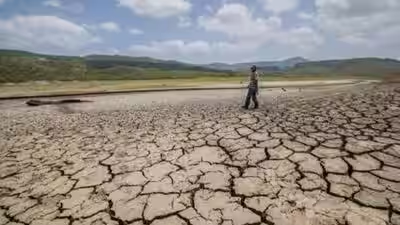 महाराष्ट्र के 305 तालुका सूखाग्रस्त घोषित, किसानों को पांच हजार रुपये की मिलेगी सहायता