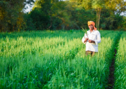 Pradhan Mantri Dhan-Dhaanya Krishi Yojana completes one year today