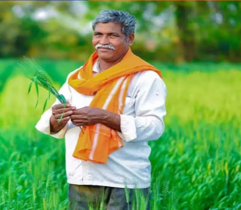 प्रधानमंत्री धन-धान्य कृषि योजना को आज एक वर्ष पूरा हुआ