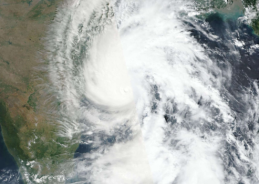 Cyclone Arnab makes landfall along Andhra Pradesh and Yanam coasts near Kakinada; Several States witnessing heavy rainfall