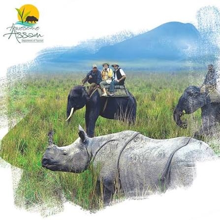 অহা মাহৰ প্ৰথম সপ্তাহৰ পৰাই কাজিৰঙাত হাতী চাফাৰী আৰম্ভ