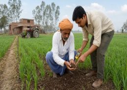 ‘Khet Bachao Abhiyan-Rabi 2026’ campaign begins to encourage efficient use of agro resources ‘Khet Bachao Abhiyan-Rabi 2026’ campaign begins to encourage efficient use of agro resources