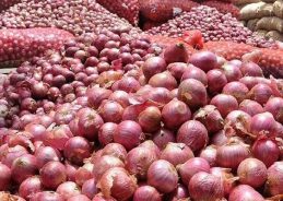 Kanda Express carrying 440 metric tonnes  of onions to reach Agartala by 18th Oct: Govt