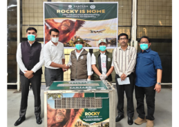 India repatriates rescued Sumatran baby orangutan to Indonesia India repatriates rescued Sumatran baby orangutan to Indonesia