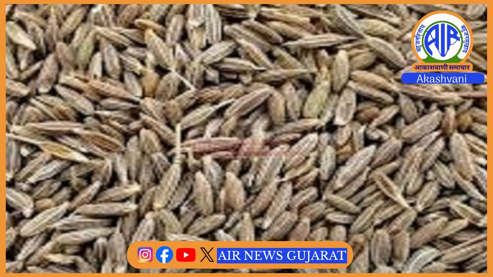 રાજ્યના સૌથી મોટા ઊંઝા માર્કેટયાડમાં રાજસ્થાન અને કાઠિયાવાડના વિસ્તારોમાંથી જીરાની સારી આવક..