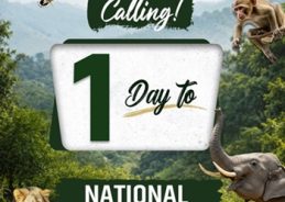 PM Modi says safeguarding forests, wildlife is essential for maintaining nature’s balance & securing a valuable legacy for future generations