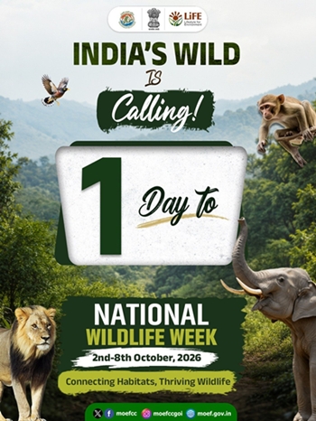PM Modi says safeguarding forests, wildlife is essential for maintaining nature’s balance & securing a valuable legacy for future generations