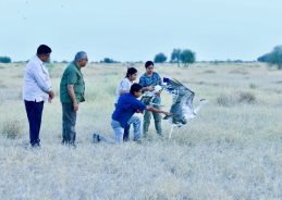 जैसलमेर में डेजर्ट नेशनल पार्क के सैम क्षेत्र में छोड़े गए दो नर ग्रेट इंडियन बस्टर्ड पक्षी